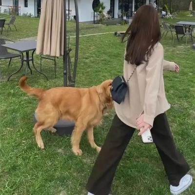 淑女绅士